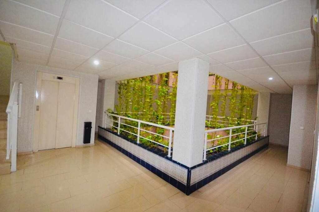 Apartamento Pink Sweet Home Torrevieja Kültér fotó